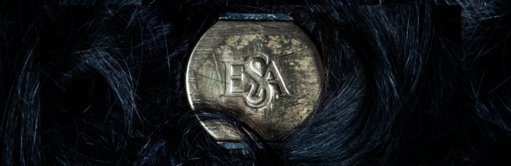 ESA - WEBSITE BANNER